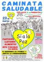Festival Solidario "Caminata Saludable" 